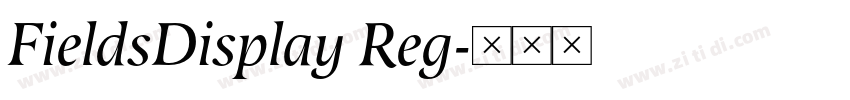 FieldsDisplay Reg字体转换 FieldsDisplay Reg字体转换